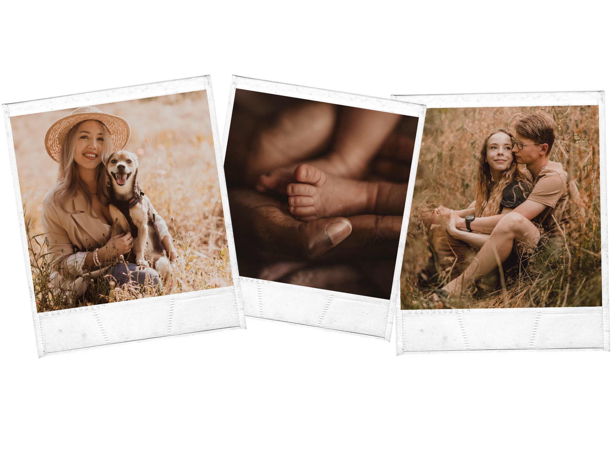 Eine Collage aus drei Polaroid-Fotos, aufgenommen von Tasha Ender Photography während eines Fotoshootings: eine lächelnde Frau mit einem Hund auf einer Wiese, aufgenommen im klassischen Stil der Hundefotografie; eine Nahaufnahme der Hände eines Erwachsenen und eines Babys, die während eines zärtlichen Familienshootings winzige Füße berühren; und ein Paar, das zusammen im sanften Sonnenlicht von Baden sitzt.