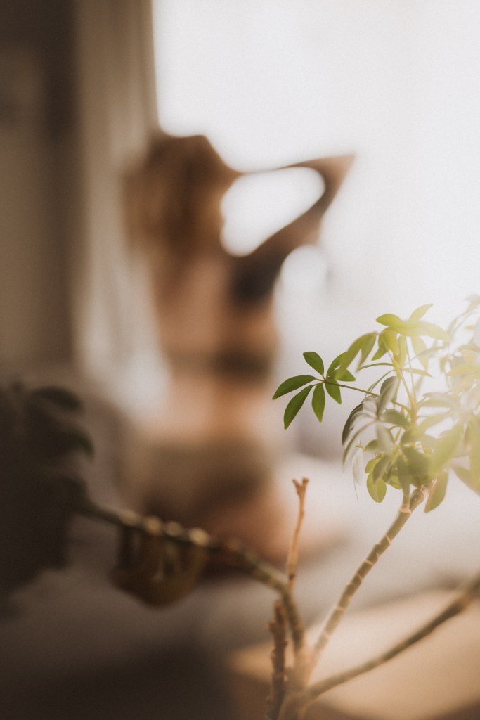 Eine Innenszene mit einer sonnenbeschienenen Pflanze in scharfem Fokus im Vordergrund. Im unscharfen Hintergrund fängt eine Fotografin eine Person ein, die sich mit erhobenen Armen streckt, umgeben von weichem, hellem Licht und einer häuslichen Inneneinrichtung. Die Szene zielt darauf ab, das Selbstbewusstsein durch natürliche Schönheit und heitere Atmosphäre zu stärken.