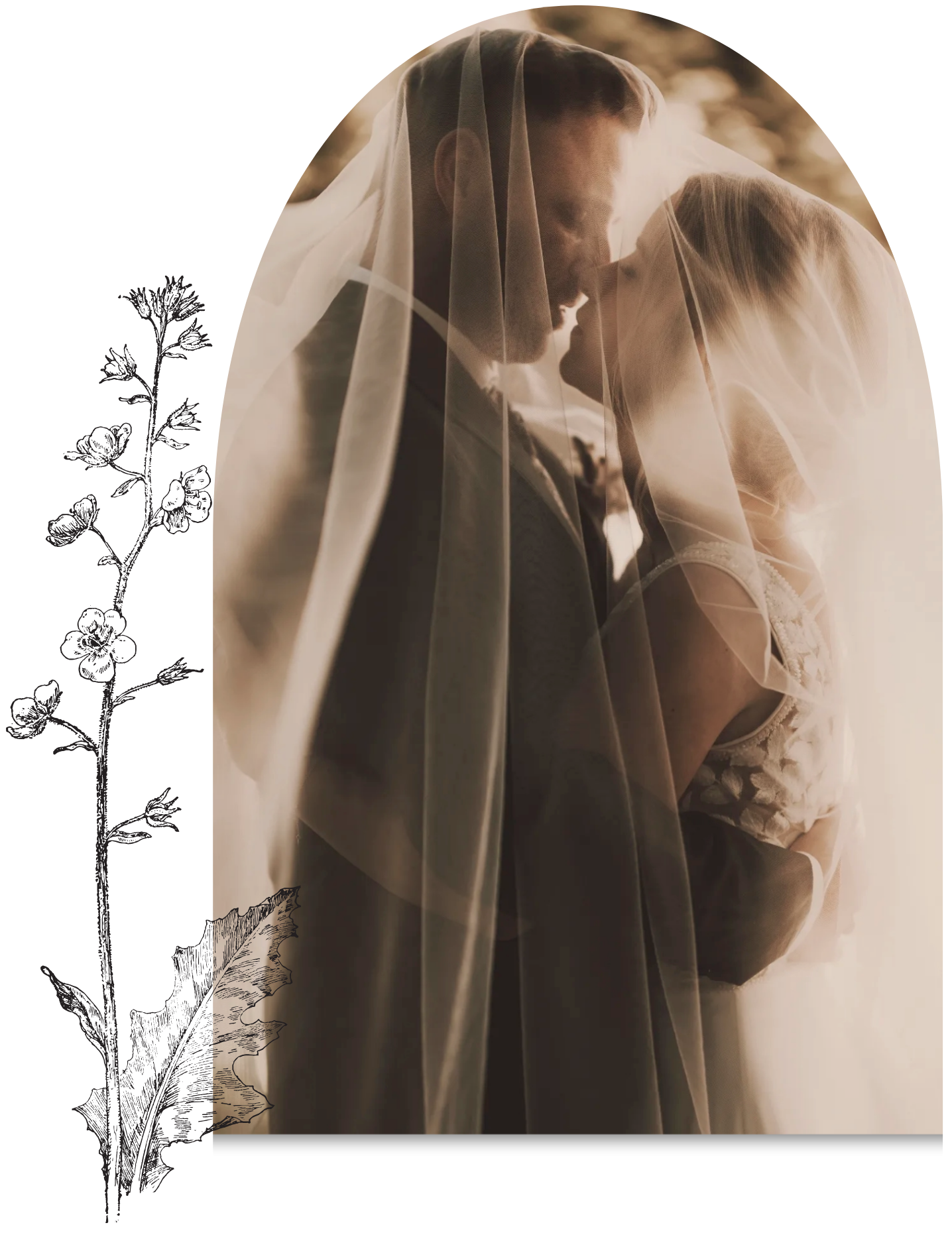 Braut und Bräutigam teilen einen intimen Moment unter einem Schleier, umarmen sich eng und küssen sich fast. Das Bild, das in Baden spielt, strahlt einen sanften, romantischen Glanz aus, mit zarten Blumenskizzen, die die linke Seite zieren. Die Braut trägt ein Spitzenkleid, während der Bräutigam einen dunklen Anzug trägt – ihre natürliche Liebe im schönen Aargau wird durch die Linse der Hochzeitsfotografie von Tasha Ender Photography festgehalten.