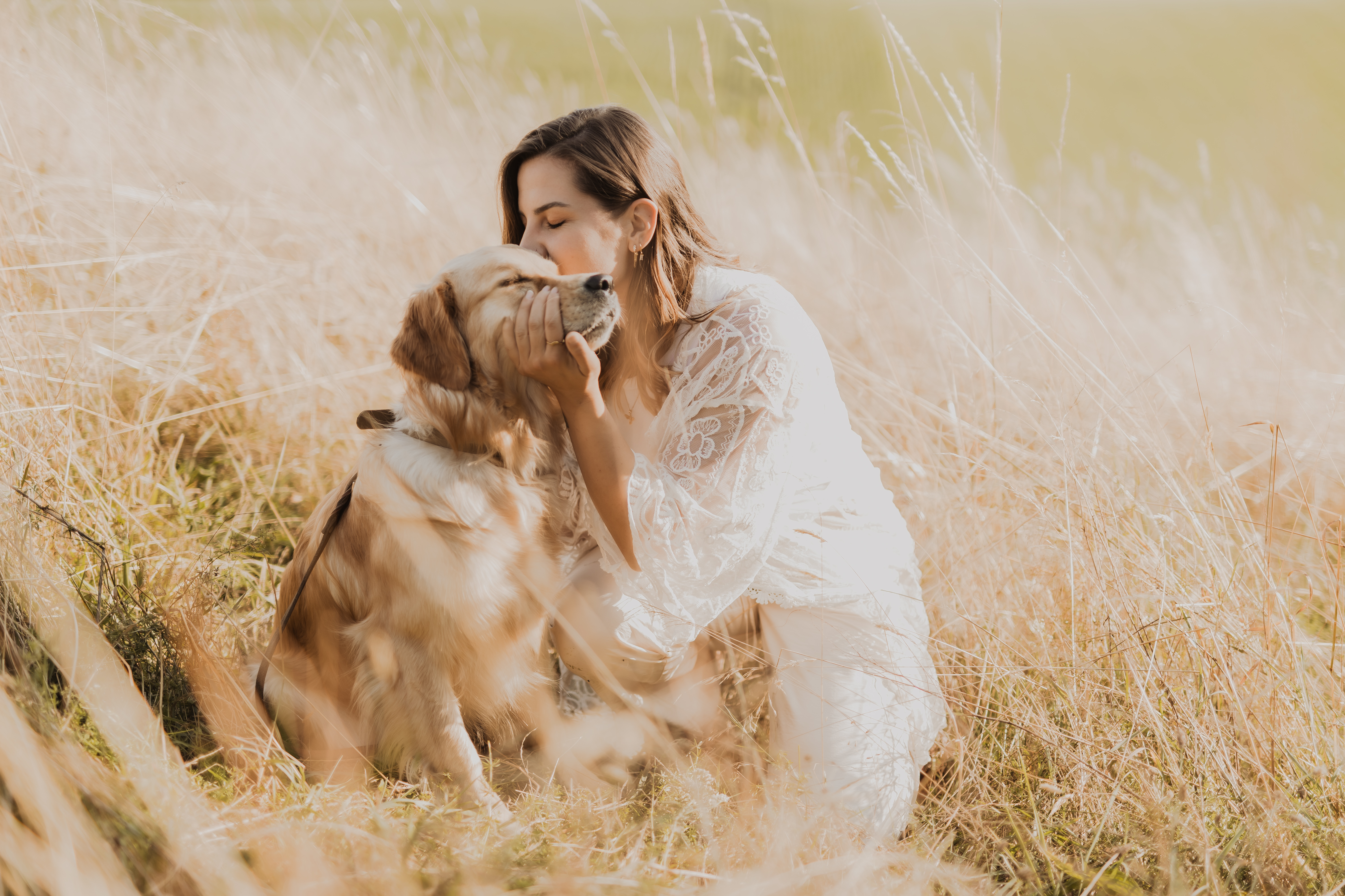 Eine Frau in weißem Outfit kniet auf einem Feld mit hohem, goldenem Gras, hält zärtlich das Gesicht ihres Golden Retrievers und küsst ihn. Der Hund sitzt ruhig da und genießt die Zuneigung. Diese herzerwärmende Hundefotografie-Szene ist in warmes, natürliches Sonnenlicht getaucht.