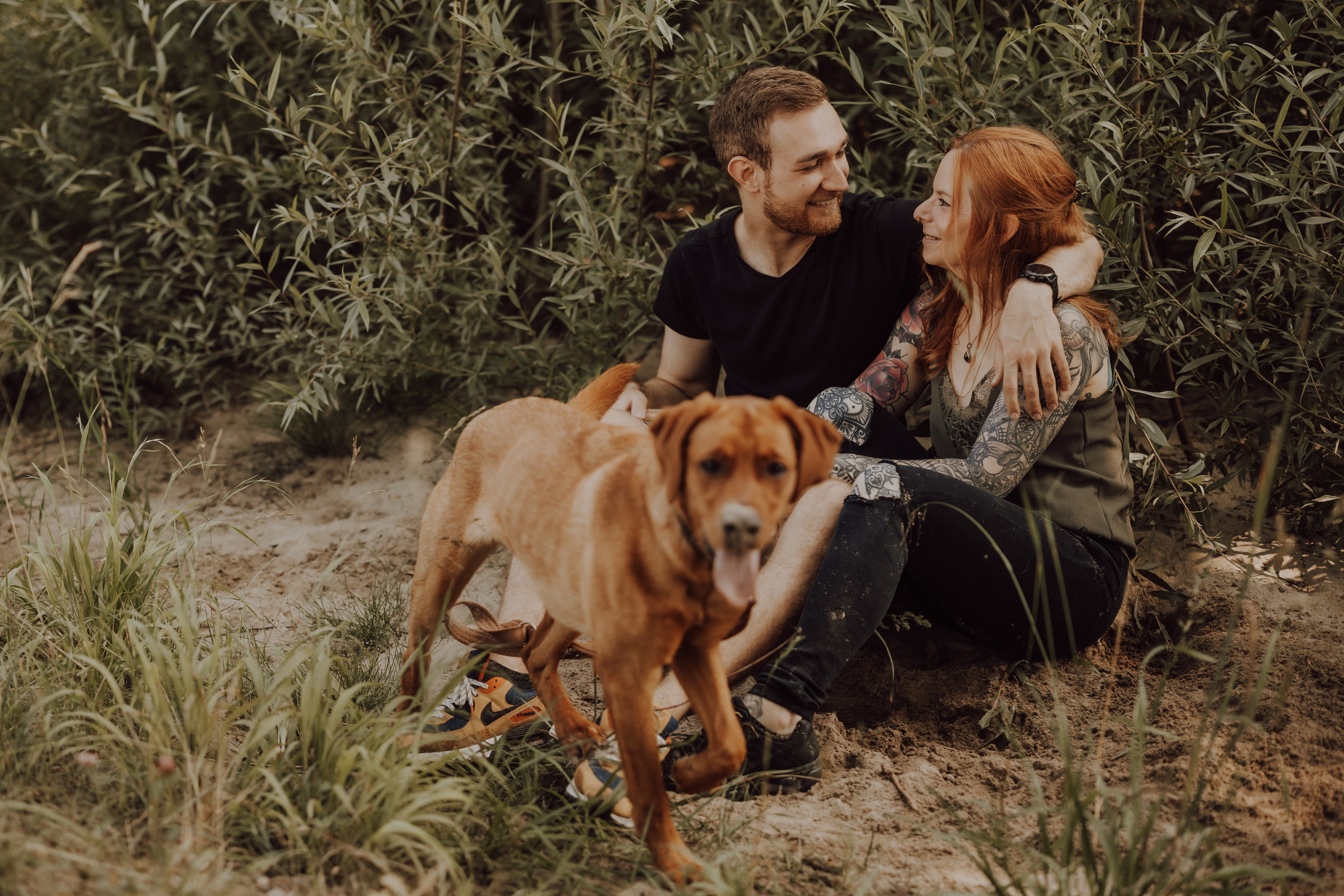 Ein Paar sitzt auf einer Wiese und küsst sich. Die Person links trägt ein schwarzes Langarmshirt, während die Person rechts, mit langen roten Haaren und Tattoos auf dem Arm, ihren braunen Hund hält. Der Hintergrund ist verschwommen mit Grün und hohem Gras – eine ideale Aufnahme für jeden erfahrenen Tierfotografen, der sich auf Hundefotografie spezialisiert hat.