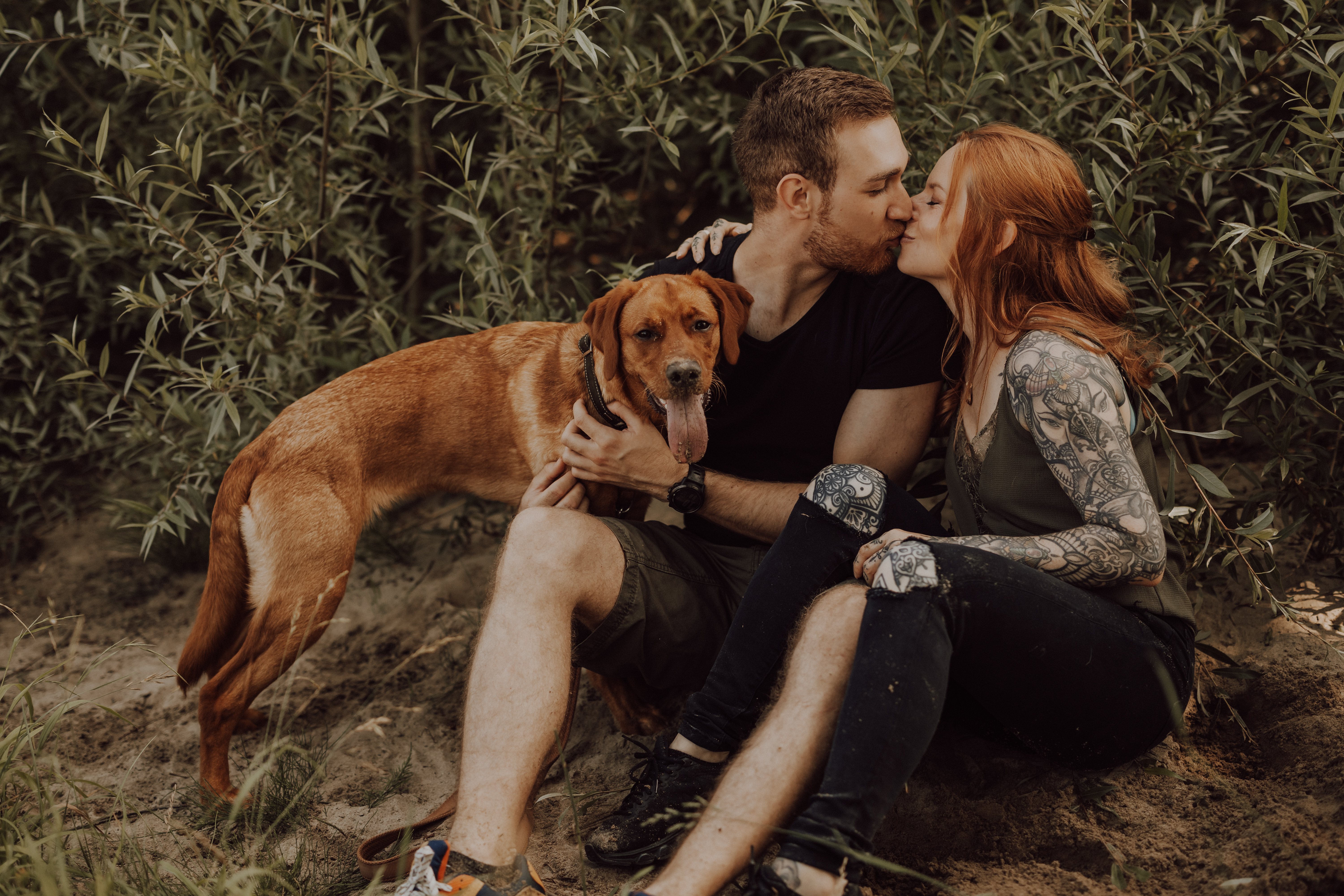 Ein Paar sitzt vor dichtem Grün auf dem Boden und küsst sich. Der Mann mit kurzen Haaren und Bart hält einen braunen Hund mit Halsband. Die Frau mit langen roten Haaren und Tattoos auf dem Arm legt ihre Hand auf das Knie des Mannes. Der Hund wurde während des Fotoshootings von einem erfahrenen Tierfotografen aufgenommen und blickt in die Kamera.