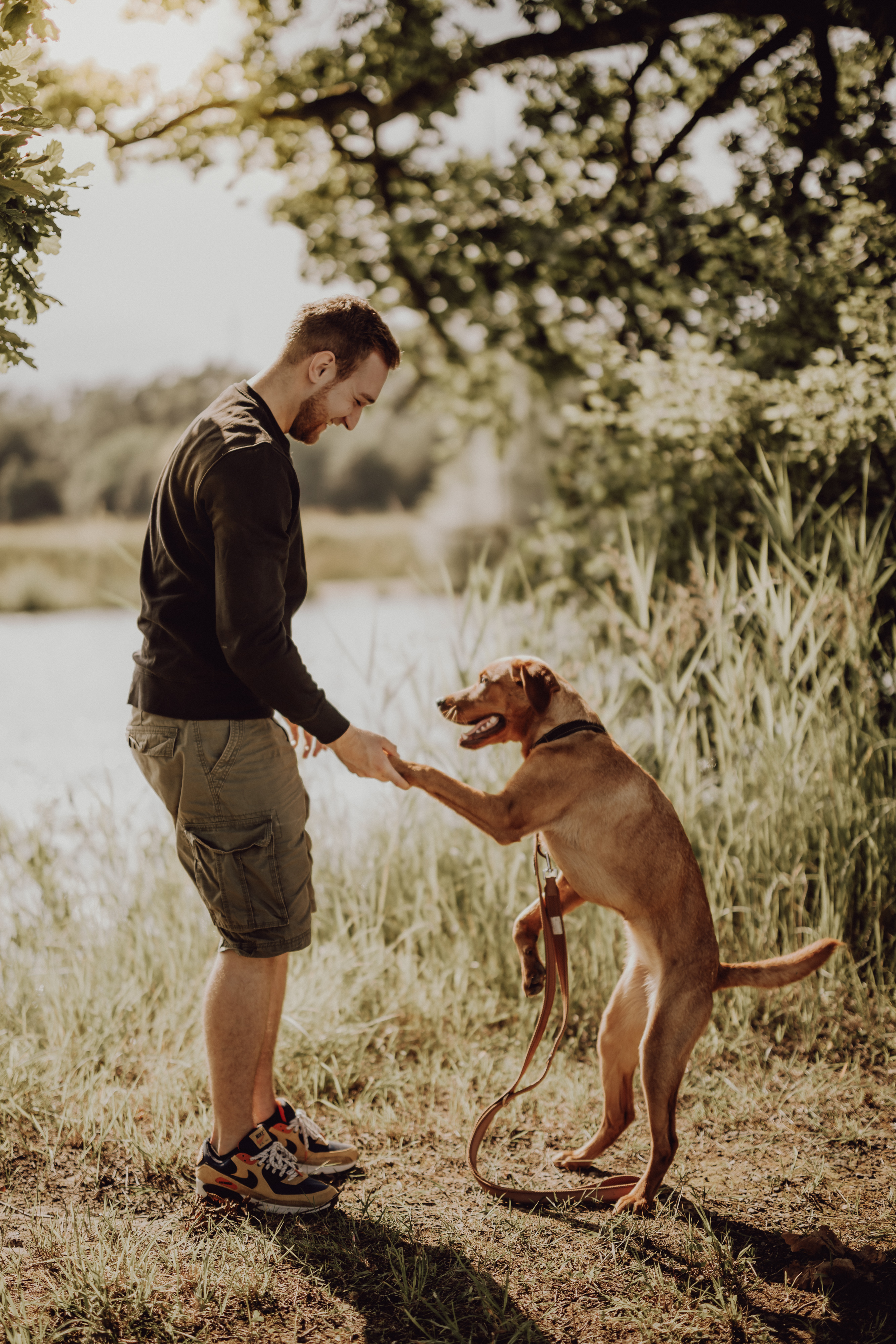 Ein Mann mit kurzen Haaren und Bart, der ein schwarzes Langarmhemd und Khaki-Shorts trägt, steht auf einer Wiese in der Nähe eines Sees und hält seinen braunen Hund an der Hand, der auf seinen Hinterbeinen steht. Aufgenommen durch die Linse eines Experten für Hundefotografie, sind beide von hohem Gras und Bäumen umgeben.