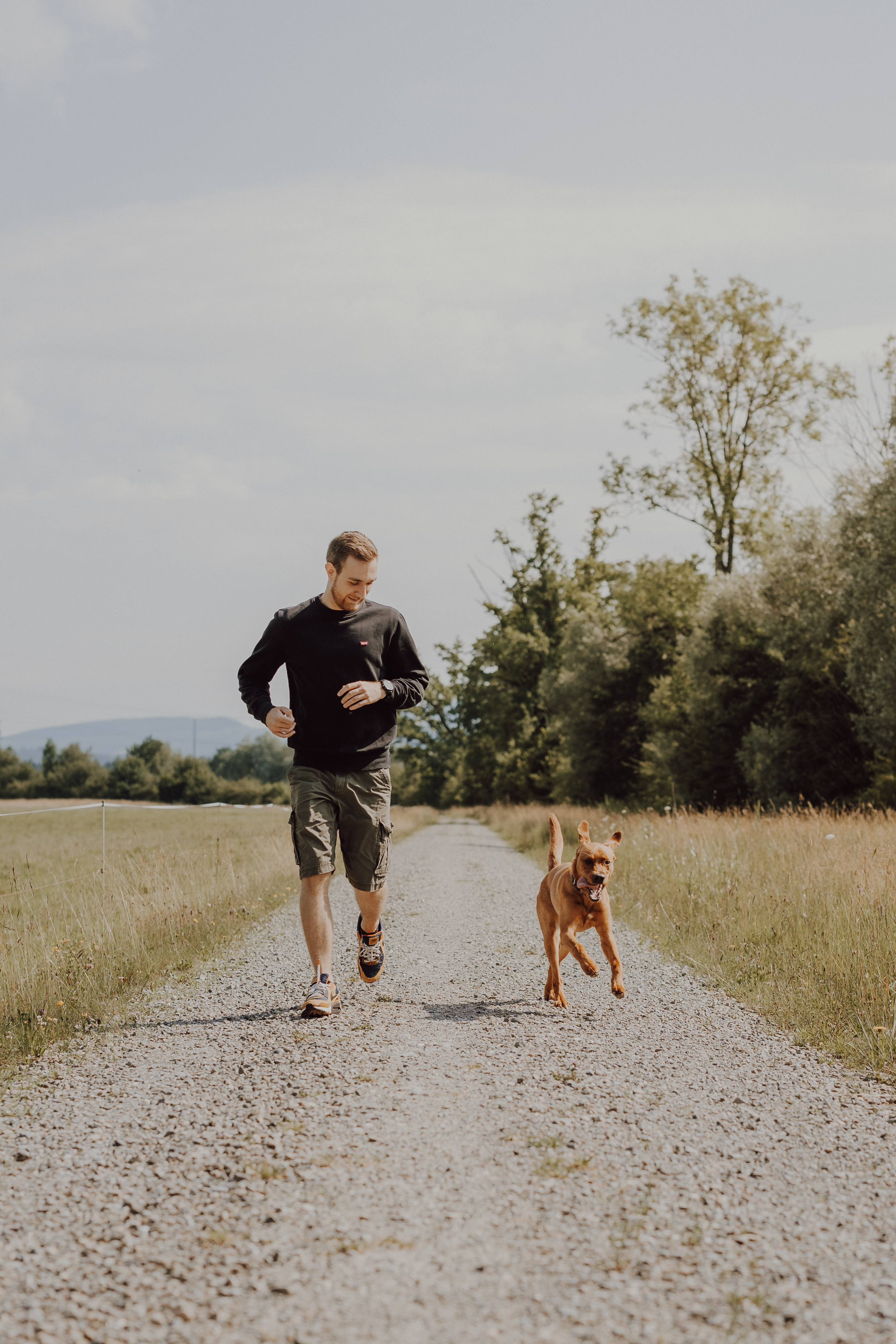 Ein Mann joggt unter einem teilweise bewölkten Himmel einen Kiesweg auf einer offenen, grasbedeckten Wiese entlang. Er wird von einem lebhaften braunen Hund begleitet, der neben ihm herläuft. Die Szene wurde von einer erfahrenen Hundefotografin aufgenommen und zeigt Bäume und entfernte Hügel im Hintergrund. Der Mann wirkt konzentriert, während der Hund energisch und verspielt aussieht.