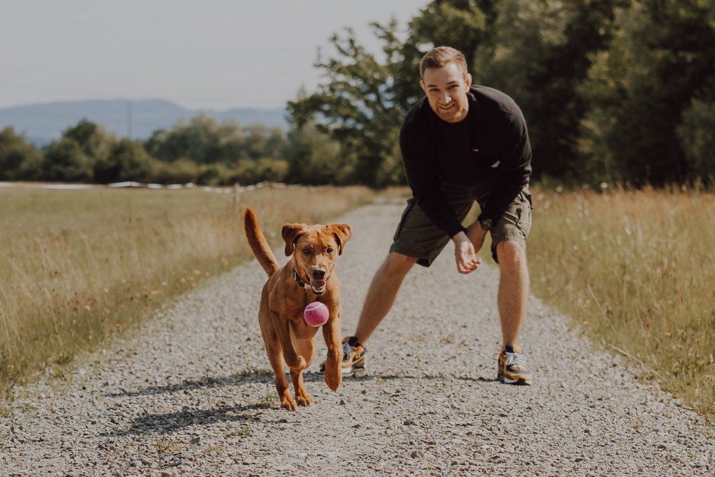 Ein Mann in schwarzem Hemd und Shorts steht lächelnd auf einem Schotterweg auf einer Wiese, perfekt für eine spontane Hundefotografie-Session. Ein brauner Hund mit einem rosa Ball im Maul rennt auf die Kamera zu. Im Hintergrund sind Bäume und Hügel unter einem klaren Himmel zu sehen.