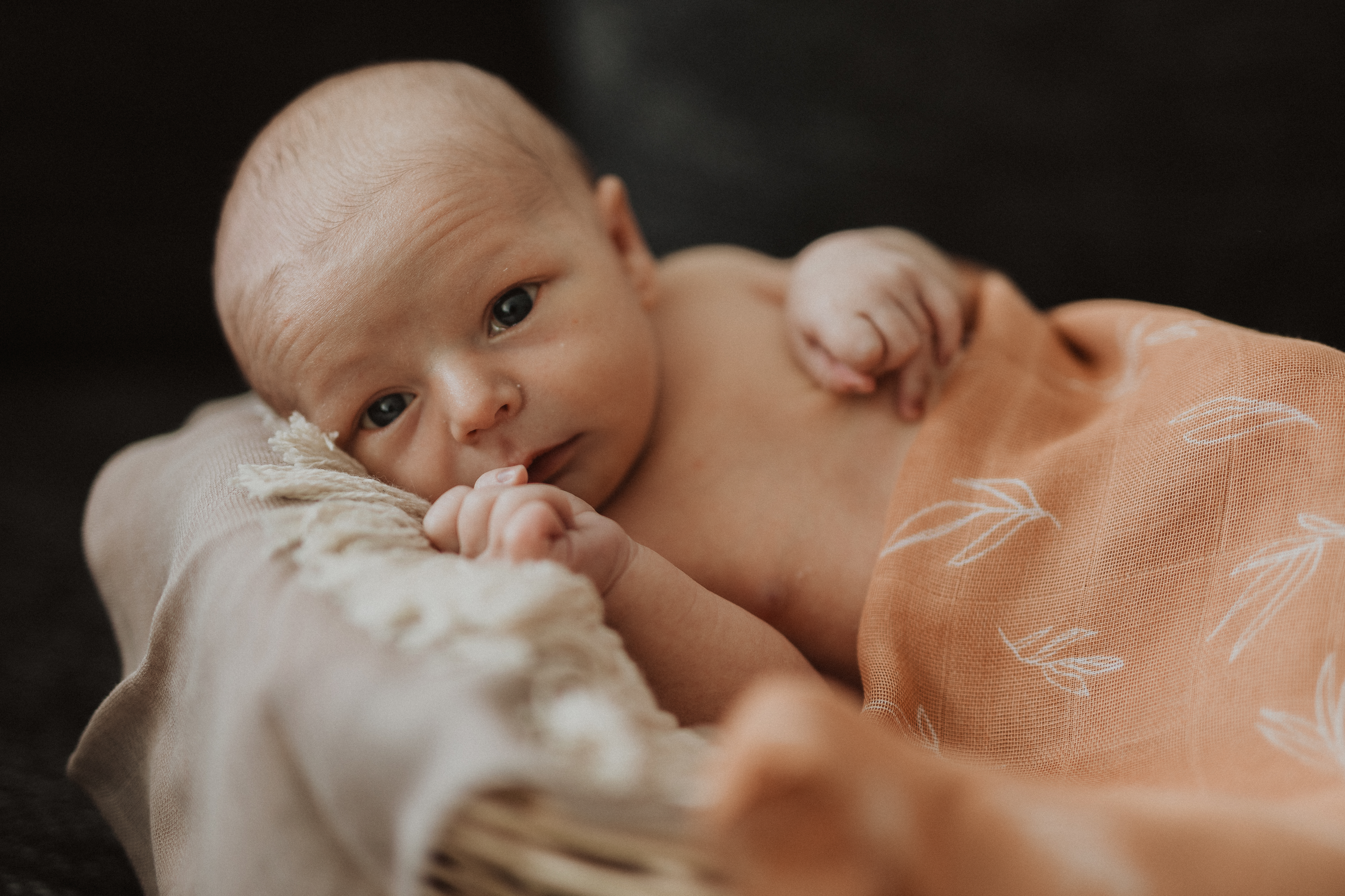 Ein Neugeborenes, in eine braune Strickdecke gehüllt, wird während eines Fotoshootings sanft von einem Erwachsenen, wahrscheinlich dem Elternteil, in den Armen gehalten. Das Baby liegt auf einer strukturierten, flauschigen Oberfläche und blickt nach oben. Die Szene, festgehalten von einer talentierten Neugeborenenfotografin in Baden, strahlt Wärme und Zärtlichkeit aus.