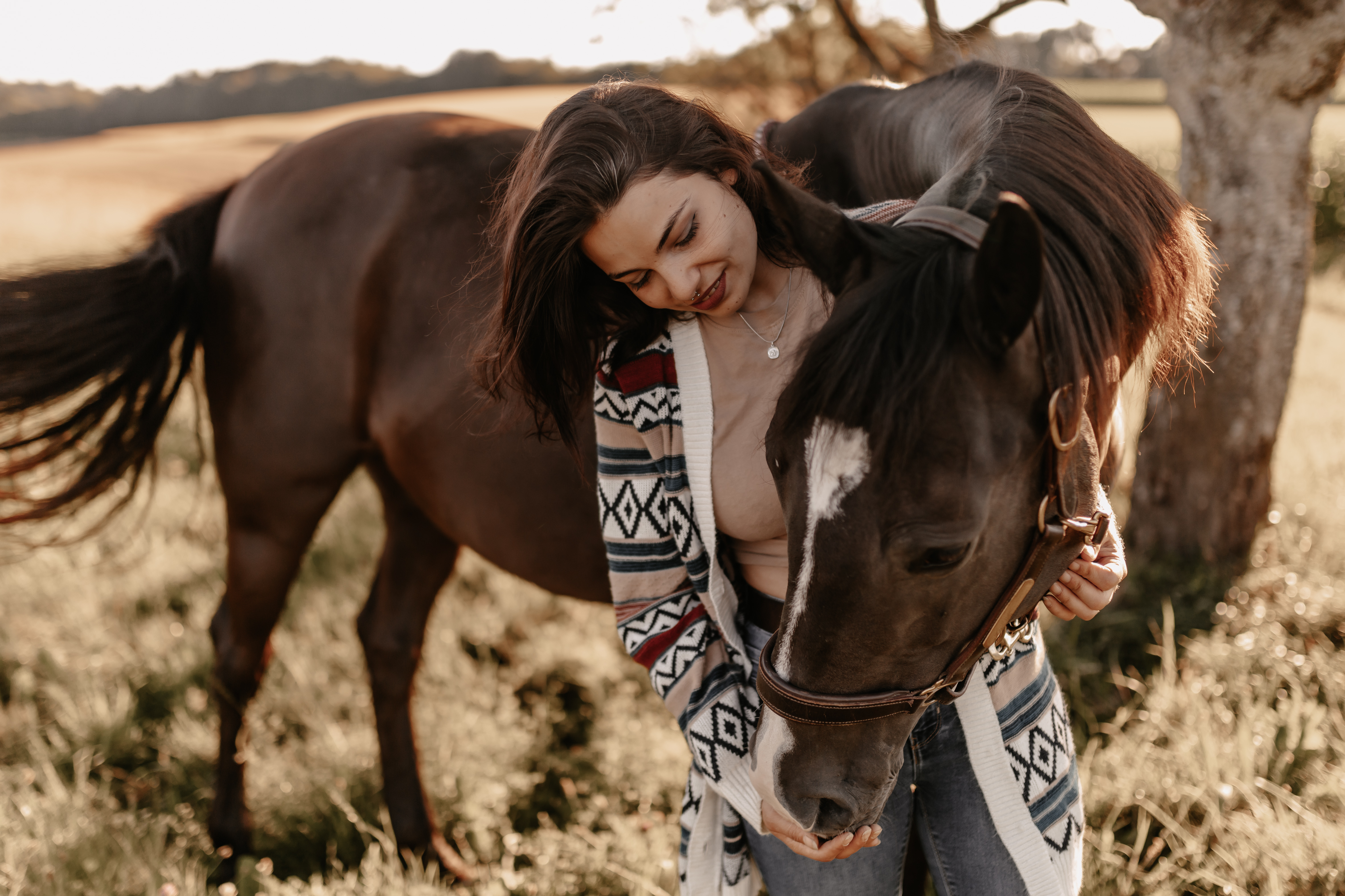 Eine Frau mit langem dunklem Haar lächelt, während sie ein braunes Pferd mit weißer Blesse auf einer Wiese umarmt. Sie trägt einen gemusterten Pullover und die Sonne scheint hell und wirft einen warmen Schimmer auf diese wunderschöne Pferdefotografie-Szene.