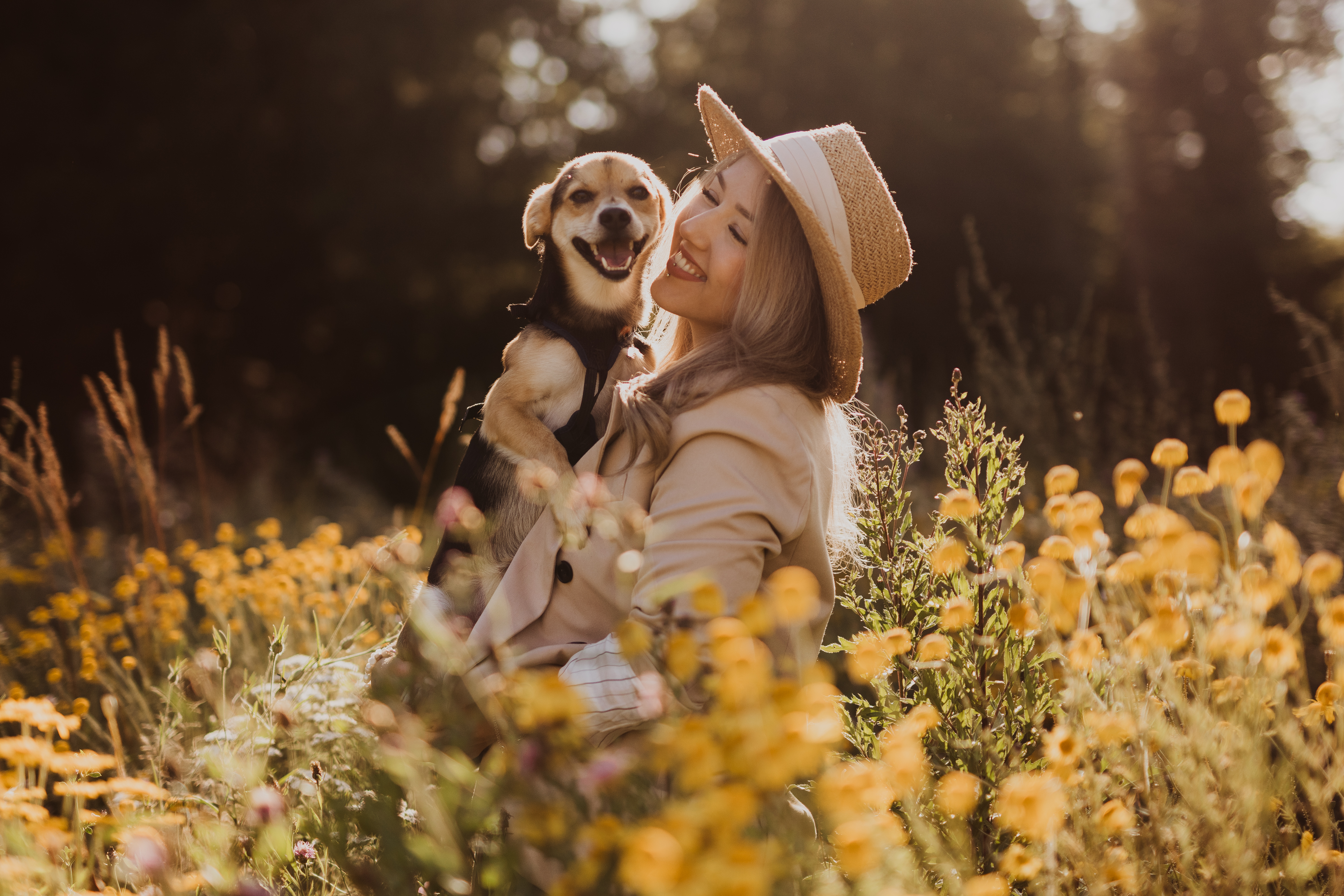Eine Frau mit Hut und beigem Mantel sitzt inmitten gelber Wildblumen und hält einen kleinen, glücklichen Hund im Arm. Die Sonne scheint durch die Bäume im Hintergrund und wirft ein warmes, goldenes Licht auf die Szene. Diesen freudigen Moment festzuhalten, könnte für jeden Hundefotografen, der sich auf Naturaufnahmen spezialisiert hat, ein Highlight sein.