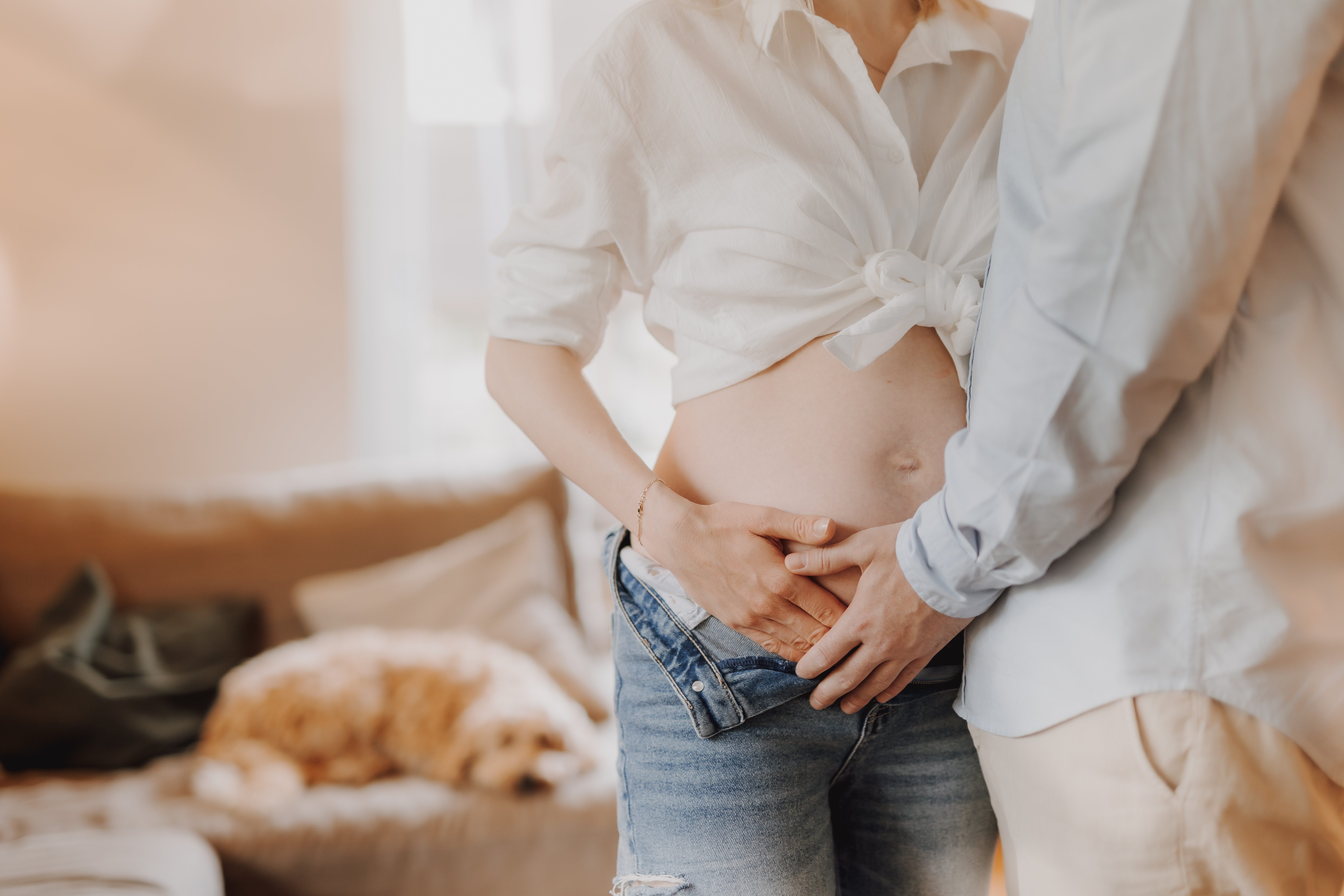 Ein Paar steht eng beieinander in einem warm beleuchteten Raum und konzentriert sich während eines Schwangerschafts-Fotoshootings auf den nackten schwangeren Bauch der Frau. Sie trägt ein hochgebundenes weißes Hemd und Jeans, während seine Hände sanft auf ihren Bauch gelegt werden. Im Hintergrund ruht ein Hund auf einer nahe gelegenen Couch.