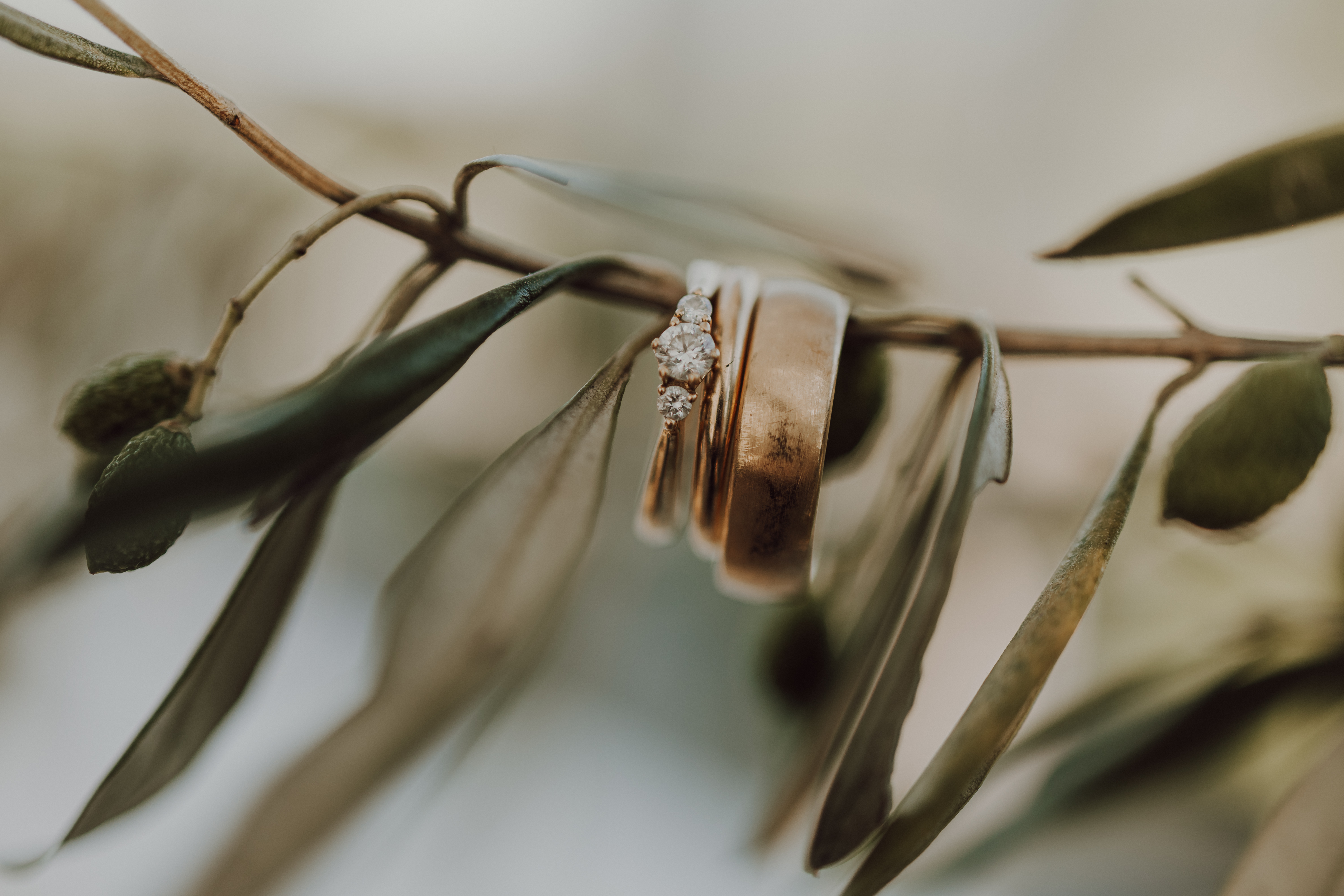 Drei goldene Ringe, einer davon mit einem kleinen Diamanten, sind zart auf einem belaubten Zweig platziert. Aufgenommen von Hochzeitsfotografin Tasha Ender, unterstreicht der unscharfe Hintergrund diese intime, natürliche Kulisse.
