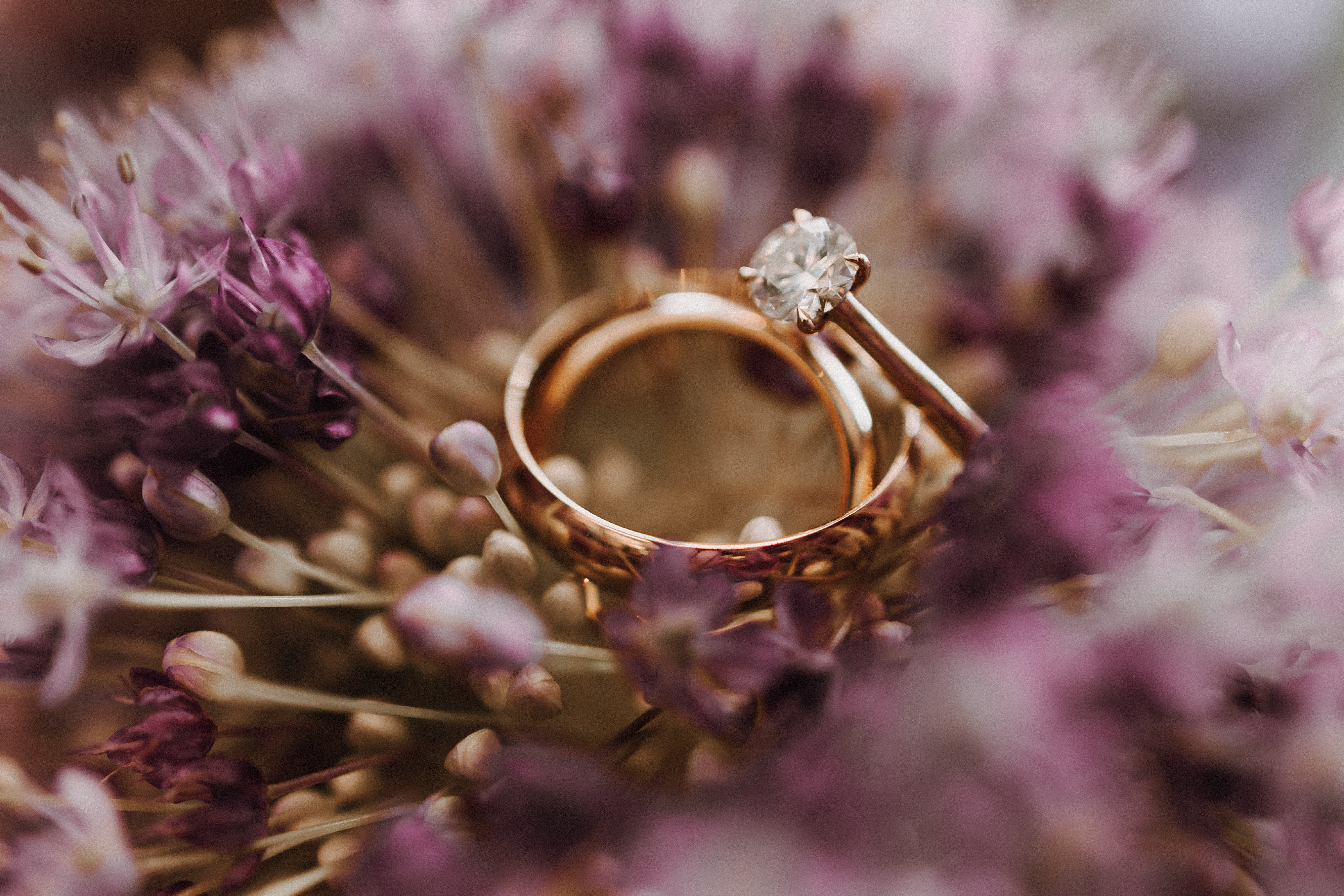 Zwei goldene Ringe, einer davon mit einem Diamanten verziert, liegen eingebettet zwischen zarten violetten und weißen Blumen und erzeugen eine romantische und intime Szene, die Tasha Ender brillant eingefangen hat.
