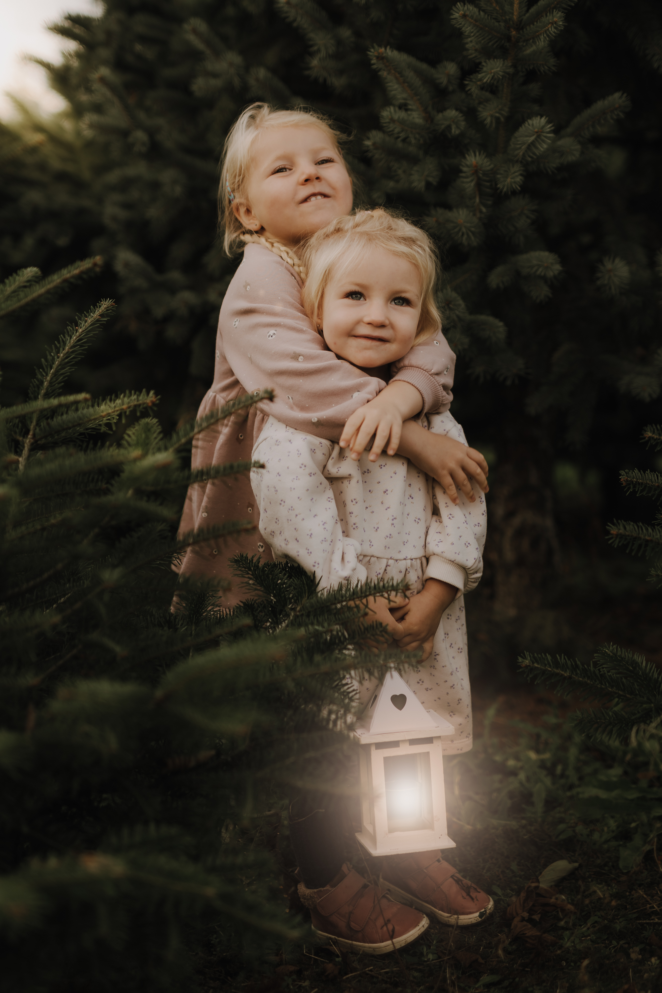 Zwei kleine Kinder stehen zwischen Tannen in Baden, Aargau; das ältere Kind, gekleidet in ein hellrosa Kleid, umarmt das jüngere, das ein weisses Kleid mit Blumenmuster trägt und eine leuchtende Laterne hält. Beide Kinder haben helles Haar und lächeln, getaucht in warmes Licht während ihres Familienshootings.