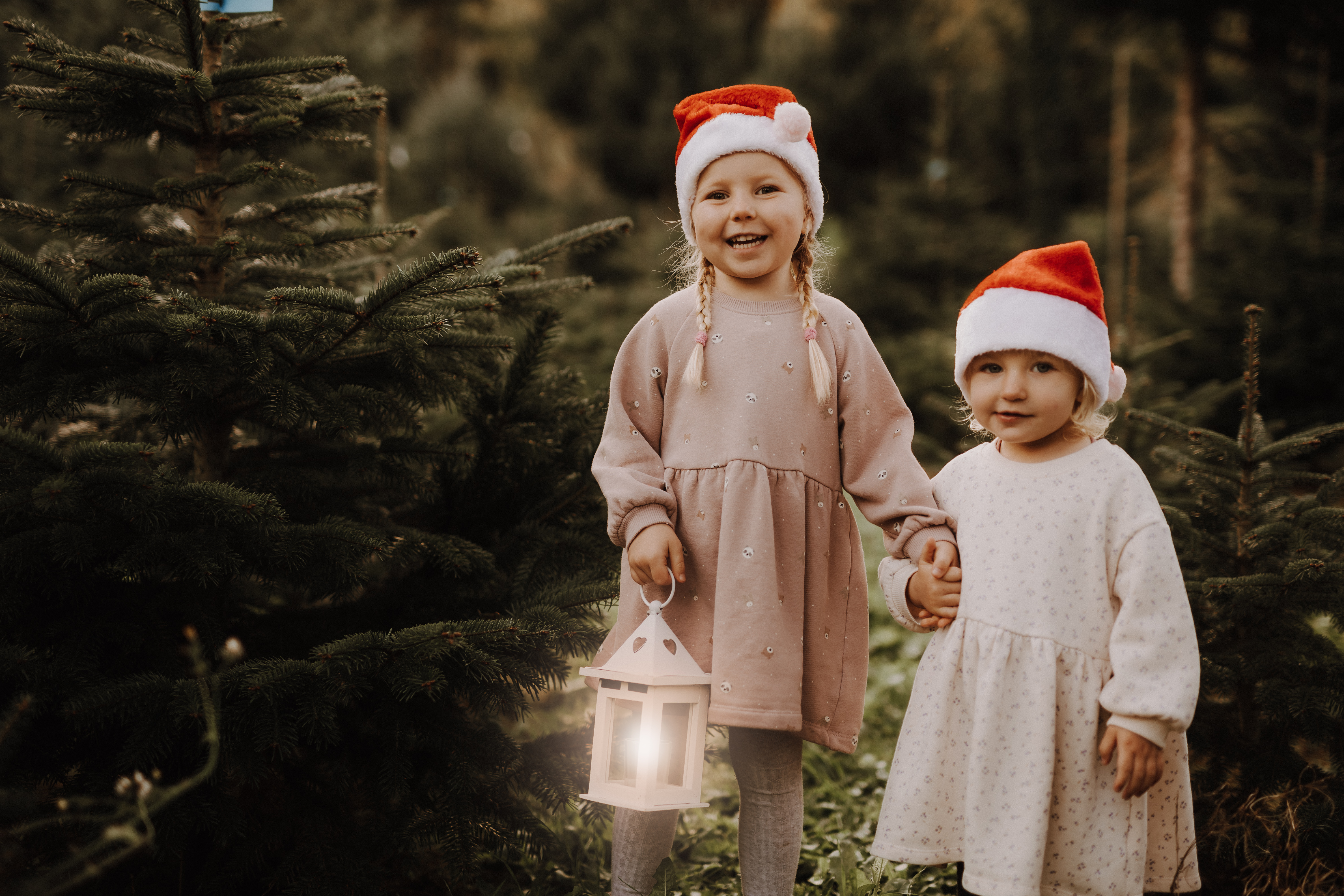 Zwei kleine Kinder mit Weihnachtsmannmützen stehen zusammen in einem Wald zwischen Kiefern. Das ältere Kind hält eine leuchtende Laterne und beide lächeln und halten sich an den Händen. Sie tragen helle langärmelige Kleider. Die Szene ist festlich und warm, perfekt für ein Weihnachts-Fotoshooting, um die Weihnachtsstimmung einzufangen.